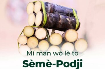 Visiter le Benin