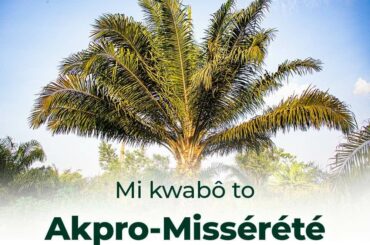 Visiter le Benin